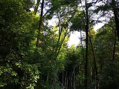-同里国家湿地公园