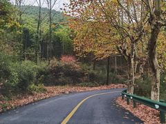 -莫干山风景区