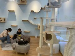 -猫冇咖·家门口的撸猫馆(大融城店)