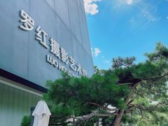 -罗红摄影艺术馆