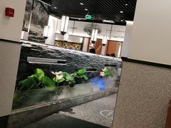-大榕树下顺德菜(融创茂店)