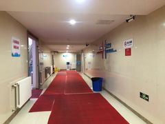 -重庆市奥林匹克体育中心-游泳跳水馆