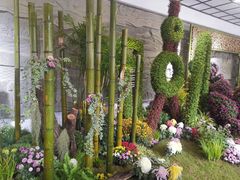 -杭州植物园