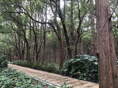 -同里国家湿地公园