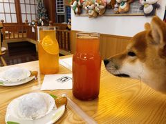 -豆柴町-柴犬主题狗咖(红鼎国际C座店)
