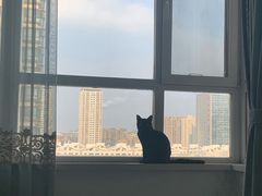 -华记五味熏酱面馆(五里河店)