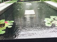 iphone_upload_pic-同里湖度假村(二期店)