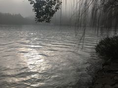 -西湖游船
