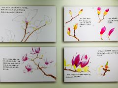 -上海昆虫博物馆