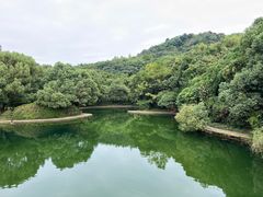 -柯岩风景区