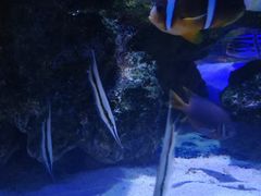 -大明湖海底世界