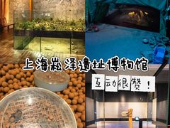 -上海崧泽遗址博物馆