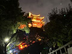 -黄鹤楼公园(黄鹤楼)