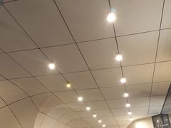 -国际青年会议酒店