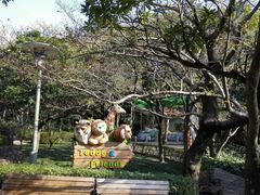 android_upload_pic-济州岛泰迪熊博物馆