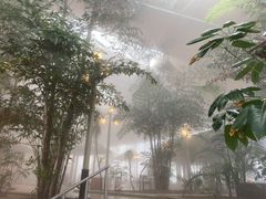 -汤泊温泉度假村