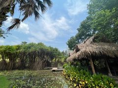 -中国科学院西双版纳热带植物园