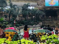 -杭州开元森泊度假乐园