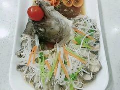 -爱月宝月嫂·育儿嫂(哈尔滨总店)