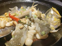砂锅普宁豆酱焗黄鱼-汤城小厨•粤菜•靓汤(金宝街店)