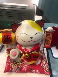 -静博士养生美容连锁