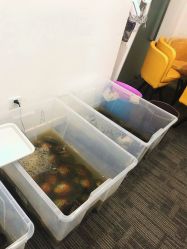 -邵老师打金·黄金加工(大望路总店)