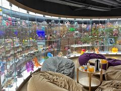 -皇室假期美食水疗会(春风路店)