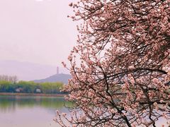 -颐和园