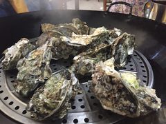 -蚝专家(北滘店)