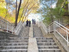 -白水寺森林公园