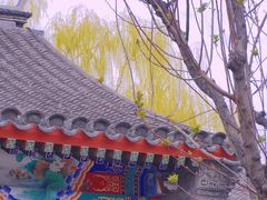 -北京古城老院厉晓麟精致菜