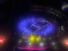 -俄罗斯国家大马戏团