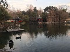 -水绘园