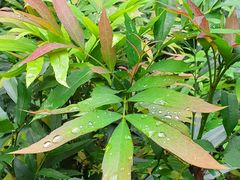 -重庆抗战遗址博物馆