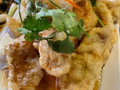 锅包肉-大东北(武侯祠店)