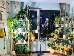 -Rabbit Cafe私房西餐甜点咖啡(栖霞路店)