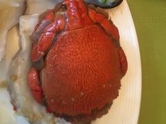 -岷山饭店-芝芝自助餐厅