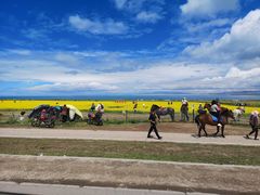 -青海湖国家重点风景名胜区