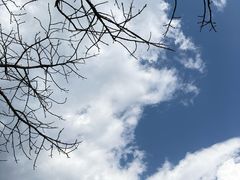 -抚仙湖禄充风景区