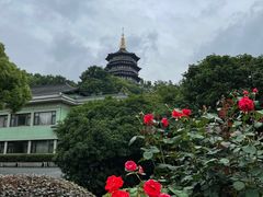 -浙江西子宾馆·瑶园咖啡厅