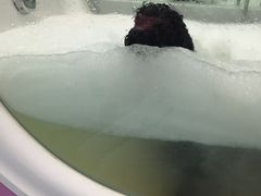 -瑞派宠物医院·24小时骨科·心脏·核磁(哈尔滨南岗店)