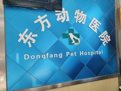 -东方动物医院·宠保定点·骨科·转诊中心(春城路·昆明站分院)