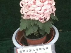 -五通灯塔公园