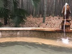 -洪湖悦兮半岛国际温泉度假村