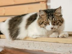 -五月木作·DIY木作文创体验店(北京路店)