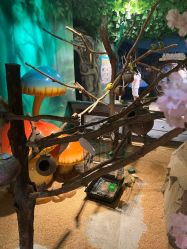 -酷嗒动物文化乐园(cutezoo西溪乐天城店)