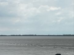 -观潮胜地公园