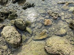 -三亚鹿回头高尔夫球会-停车场