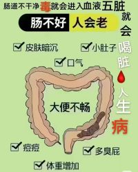 -香薇妮丝·定制减肥·身材管理