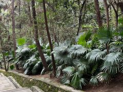 -铁山坪森林公园